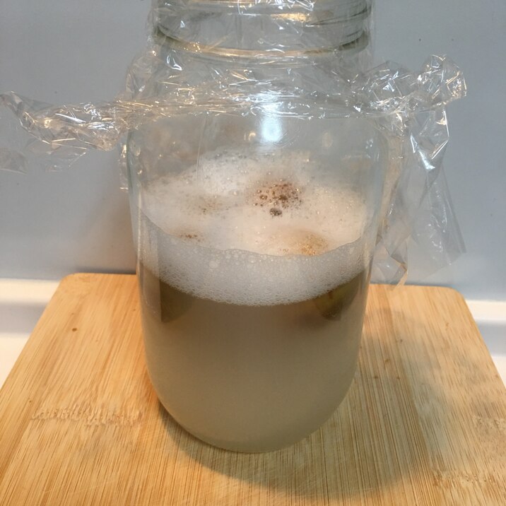 梅シロップの実から、発酵力のある梅の自家製酵母①